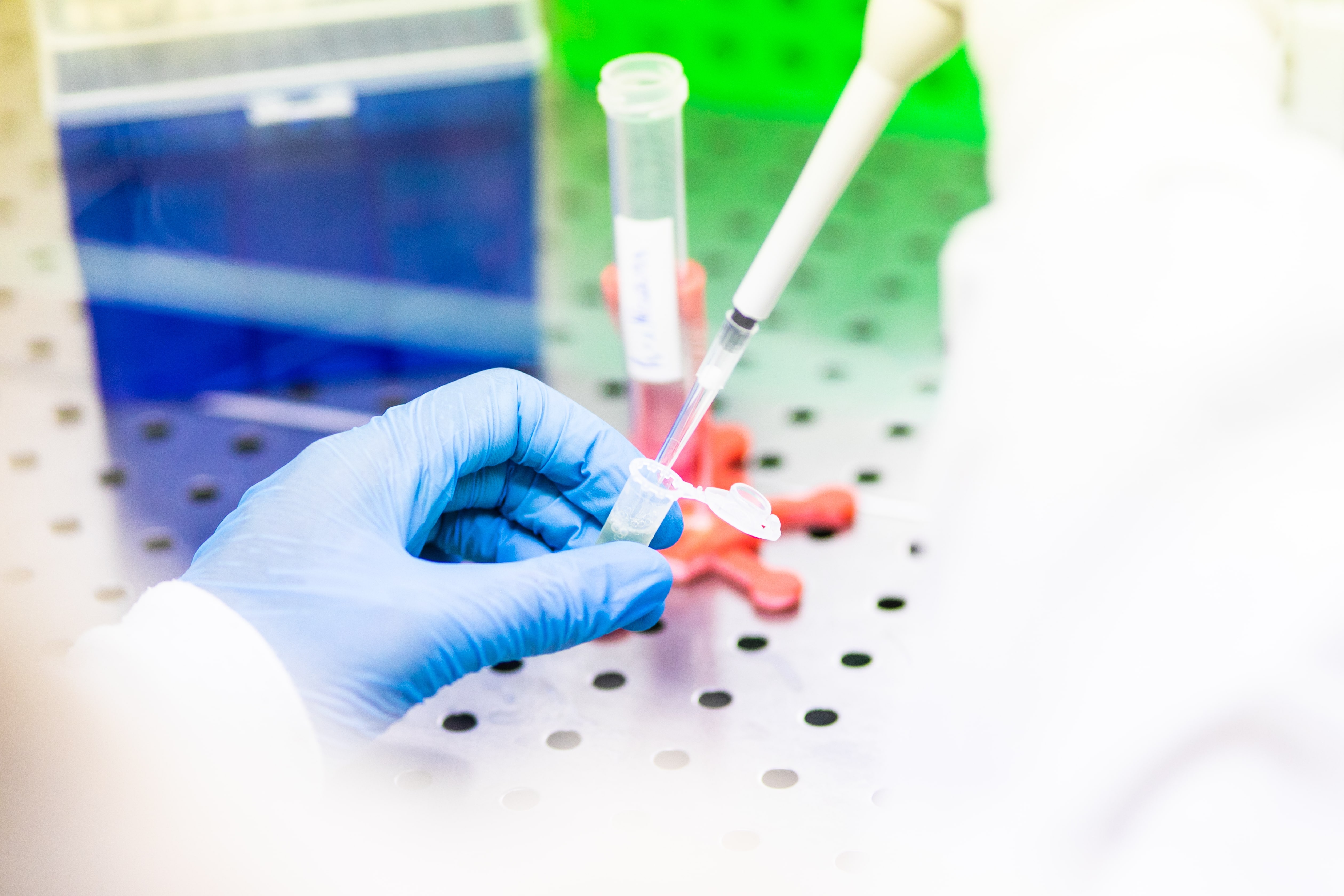 test di biocompabilità